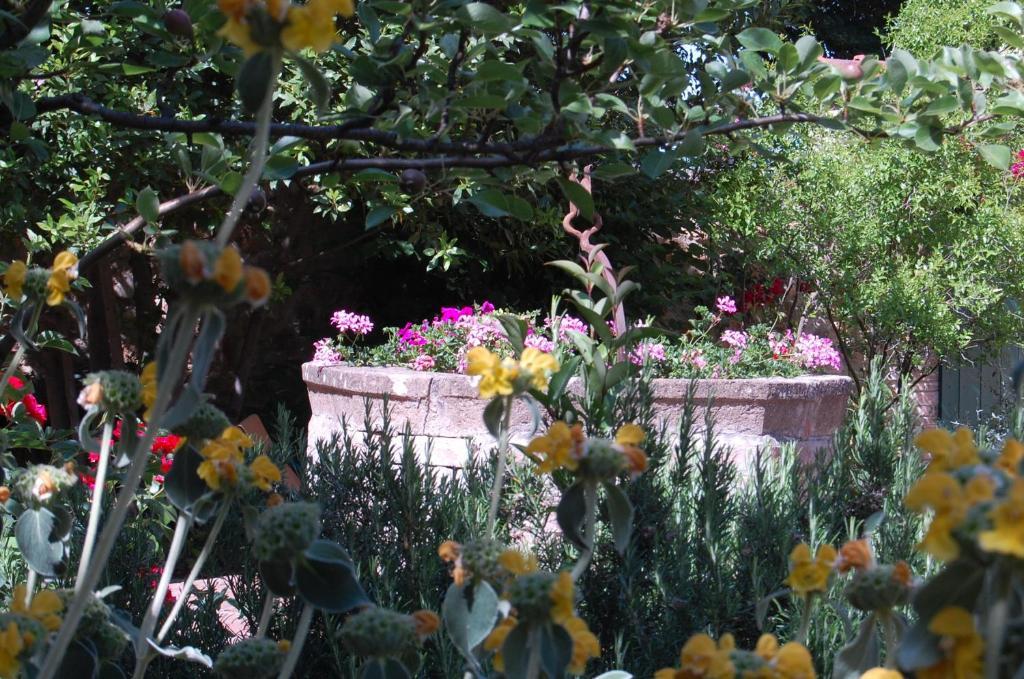 Il Giardino Segreto Pensión 3*